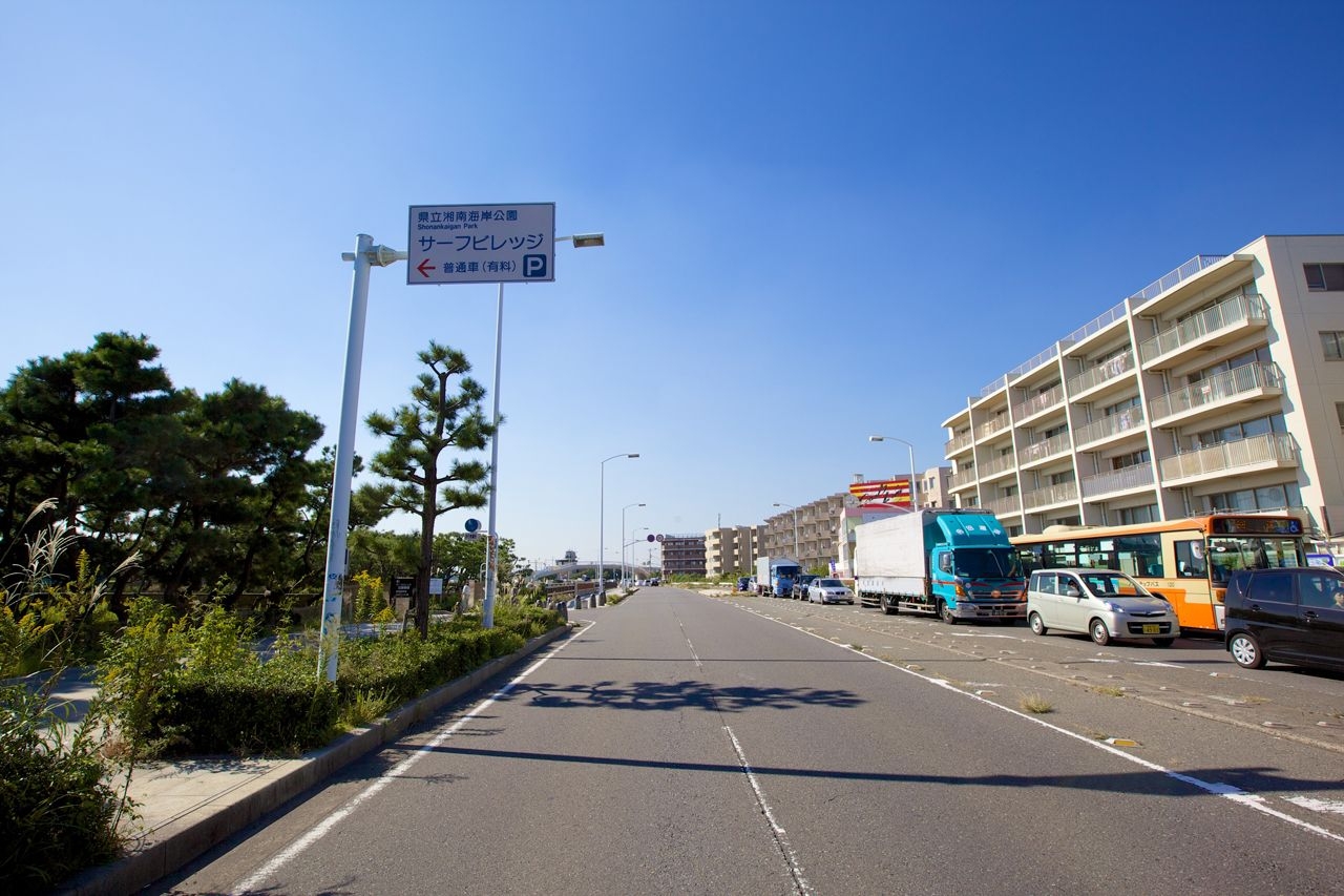 駐車場 緑陰広場駐車場 湘南なぎさパーク